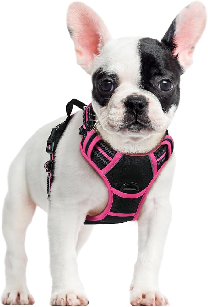 rabbitgoo Dog Harness, No Pull for Small Dogs with 2 Leash Clips, Pet Vest | No Choke with Handle, Adjustable Soft Padded, Reflective, Easy Control for Walking, Black & Hot Pink, Small
