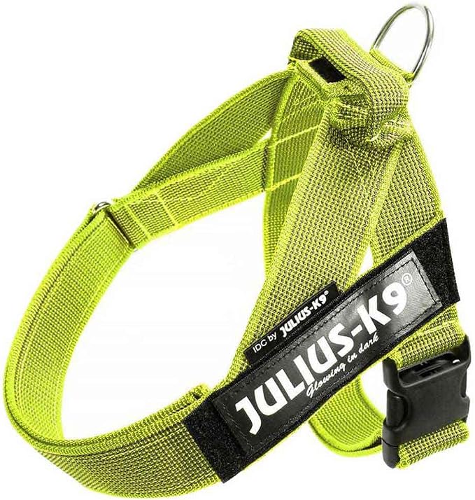 Julius-K9, IDC Color & Gray Belt Harness, Size: 2XL / 3, Neon-Gray