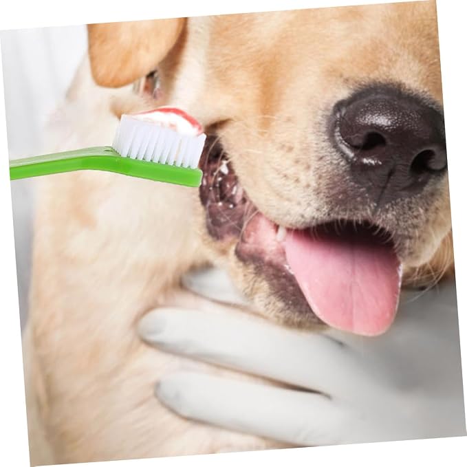 Levemolo 12Pcs Dual Head Dog Toothbrush Soft Bristle Pet Care Comfortable Cleaning for Dogs Oral