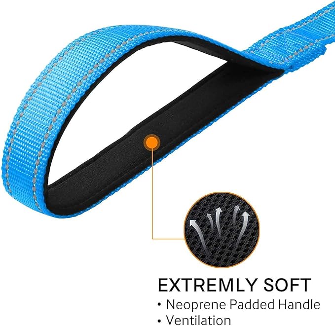 Joytale 6FT1" Dog Leash and Collar (16-24"), Reflective Soft Neoprene Padded Pet Collars and Leashes for Large Dogs, Sky Blue