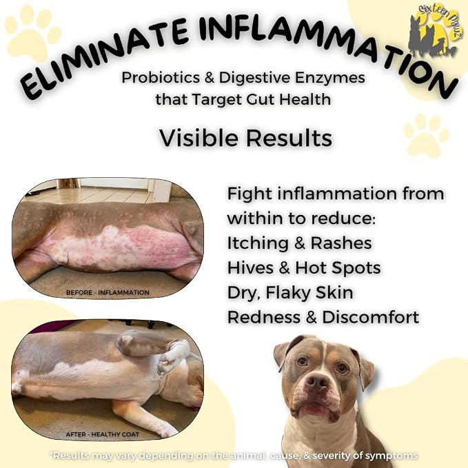 Dog & Cat Probiotics, Prebiotics, & Digestive Enzymes – Flavorless Powder for Gut Health, Allergies, Itchy Skin, Gas & Diarrhea – Organic, Vet-Approved – 65g Bottle (Up to 65 Servings)