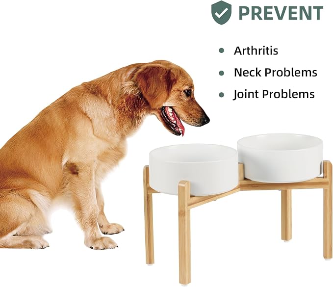 Havniva 8.3” Dog Bowls Elevated Ceramic Dog Food and Water Bowl Set, Double Raised Dog Water Bowl with Stand Non-Slip Rubber Base Large Capacity Feeding Pet Food Bowl for Large Dogs