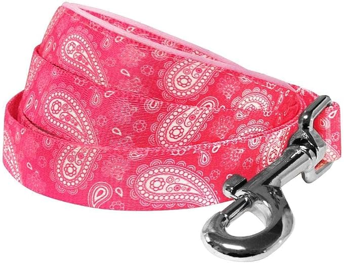 Blueberry Pet 5 Colors Paisley Flower Print Dog Leash with Soft & Comfortable Handle, 5 ft x 3/4", Pink, Medium, Leashes for Dogs