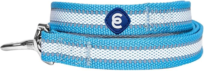 Blueberry Pet Essentials Reflective Better Basics Dog Leash, Sky Blue, 4 ft x 1", Large, Leashes for Dogs