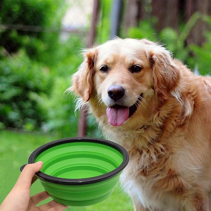 Large Dog Bowl Collapsible, 2 Pack, with Carabiners, Large, Blue+Green