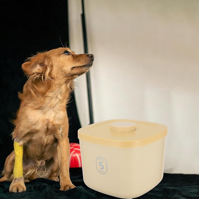 Vacuum Sealed Dog Food Container and Cat Food Holder, Small, Yellow