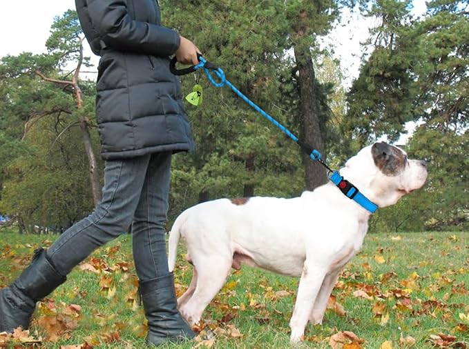 Taglory 18"-28" Length, 1 1/4" Wide Dog Collar and Leash Set, 1/2" x 6 FT Highly Reflective Threads Dog Leash for Large Dogs,SkyBlue