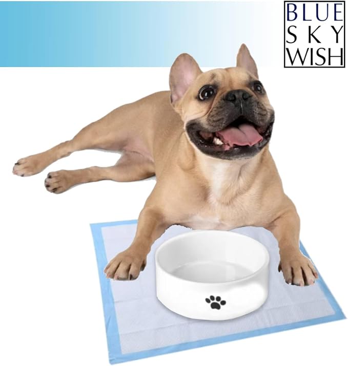 Pet Training Pads, 100 Count Size Small 13" x 18", Absorbent Disposable Pee Pads for Small Pets, Puppies, Kittens, Gerbils, Hamsters, Rabbits, Hedgehogs, Birds. (Small 13 x 18 inch Pads)