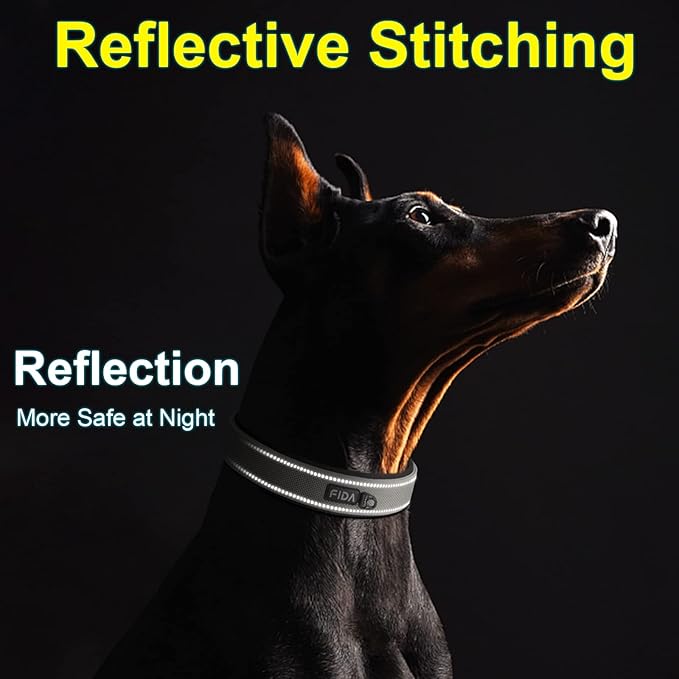 Fida Padded Dog Collar for Small Dogs with Metal Belt Buckle, Grey | Soft Neoprene Padded for Extra Comfort, Durable Nylon Webbing, Adjustable Fit, Reflective Stitching for Night Safety