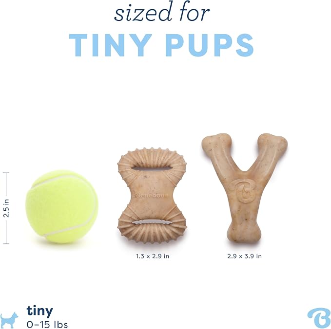 Benebone Puppy 2-Pack Dental/Wishbone Dog Chew Toys, Real Chicken, Tiny | Durable, Made in USA, Dog Bones, Puppy Teething Toys, Puppy Toys, Long-Lasting, Keeps Them Busy