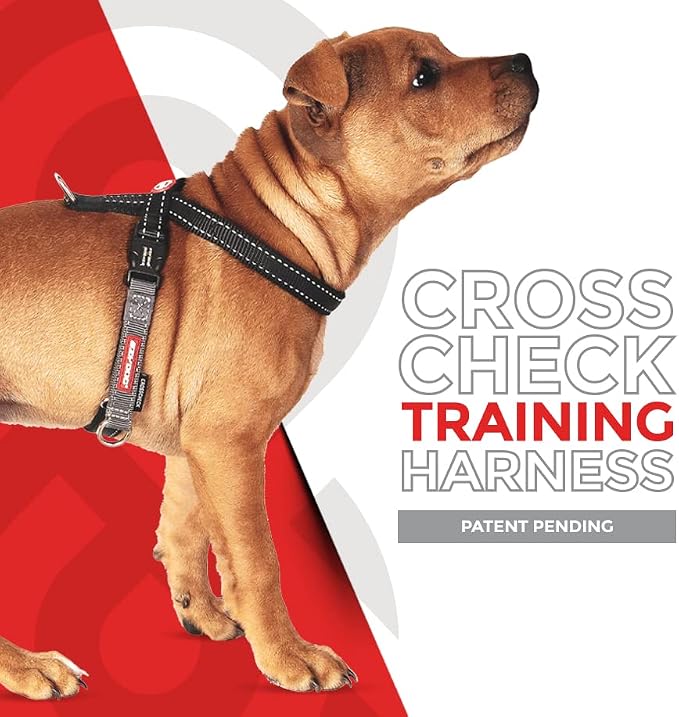 EzyDog Crosscheck, No Pull Side Martingale Training Dog Harness - XS, Red | Escape Proof Harness for Dogs, Firmer Fit with Pulling, Silicone Neck Liner, Adjustable Fit for All Breeds, Dual D-rings
