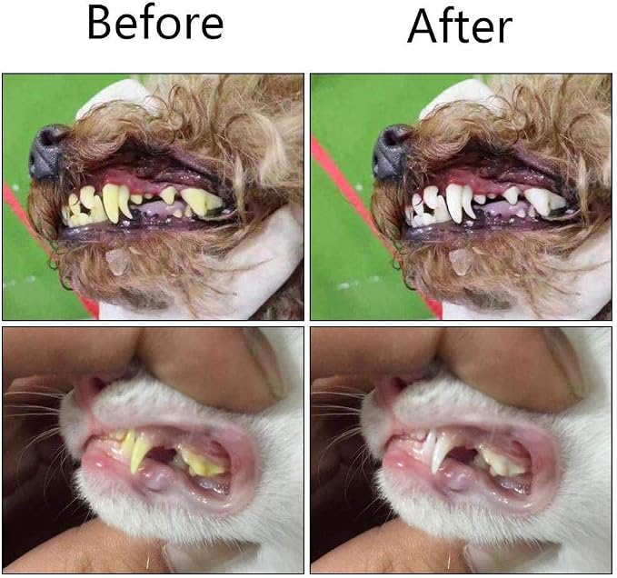 Orgrimmar 2 Pcs 3-Sided Pet Toothbrush Dog Cat Mouth Dental Teeth Care | Pet Brush for Bad Breath Tartar Cleaning