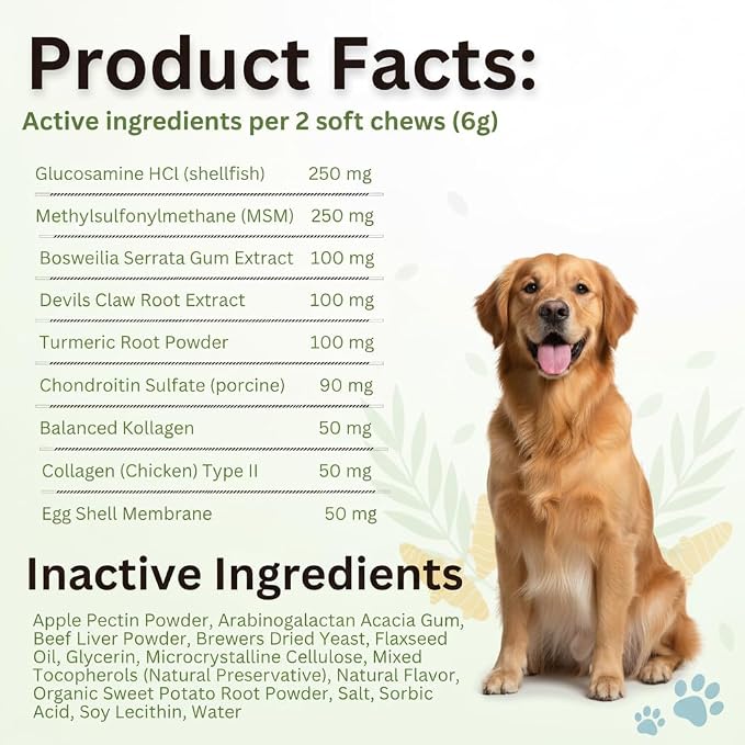 Hip & Joint Supplement Soft Chews for Dogs – Advanced Mobility & Comfort Support – Glucosamine, Chondroitin, MSM, Turmeric, Boswellia & Collagen – 60 Count