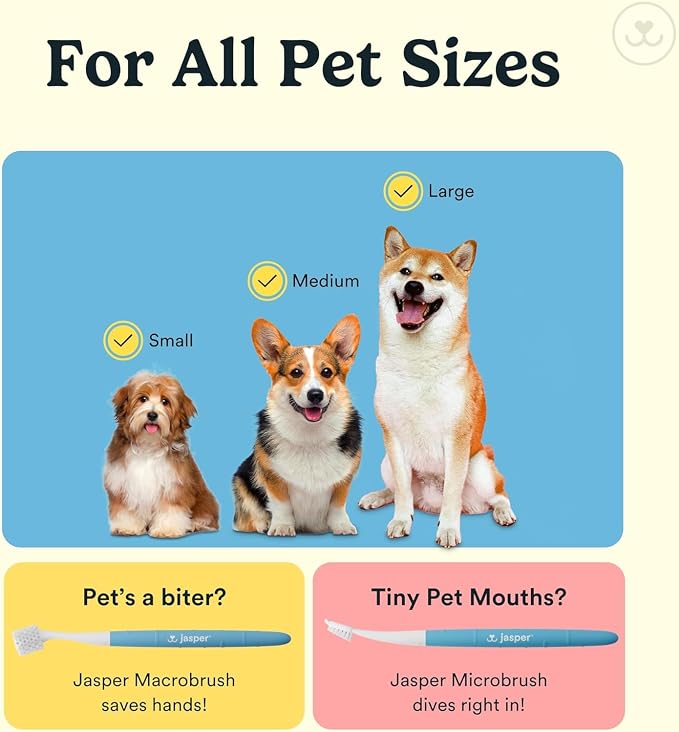 Jasper Dog Toothbrush, 360 Degree Pet Tooth Brushing Kit, Cat Toothbrush, Canine Dental Care & Teeth Cleaning Kit, Pet Finger Tooth Brush, Use with Dog Toothpaste, 4-Pack Multicolor