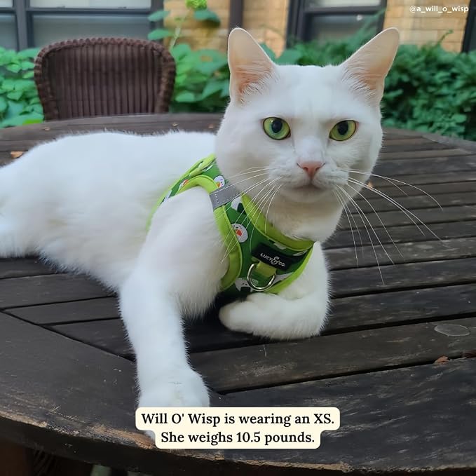 Lucy & Co. How I Roll Step-in Cat Harness & Leash Bundle – Reflective, Breathable & Adjustable Harness for Cats, Kittens & Small Dogs, Lightweight & Secure and Dual Leash Clips – X-Small