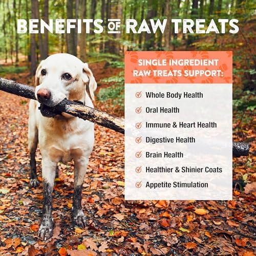 Northwest Naturals Raw Rewards Freeze-Dried Shrimp Treats - 1oz (Pack of 3)