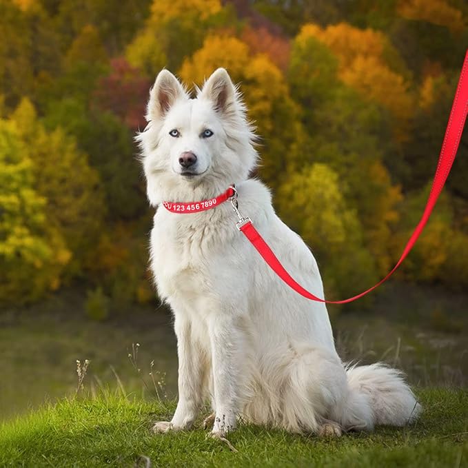 Taglory Reflective Dog Leash for Medium Large Dogs, 1in x 6ft, Red | Ideal for Night Walking, Strong for Sudden Pulls, Lightweight & Gentle on the Neck, Soft Padded Handle