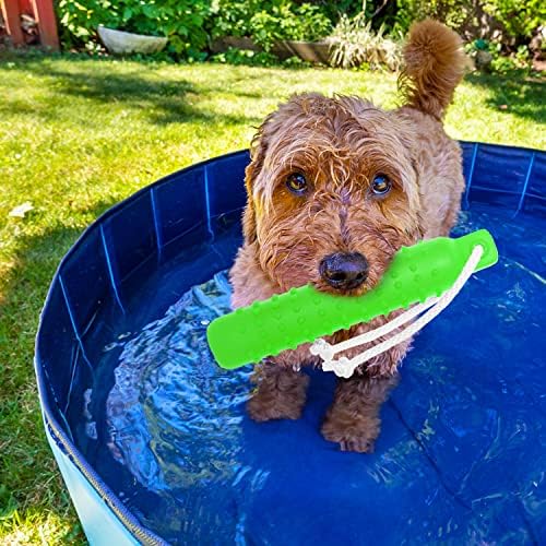 Floating Dog Water Toys, 2 Pack Interactive Pool Fetch Bumper | Outdoor Retrieving & Chasing Dummy Pet Toy with Rope for Small to Large Dogs