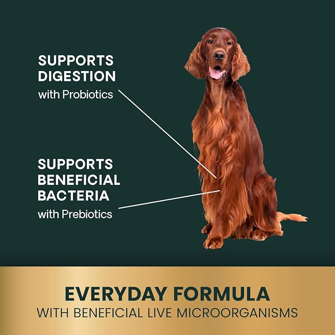VetriScience Gut Health Chews for Dogs, Duck, 120 Count