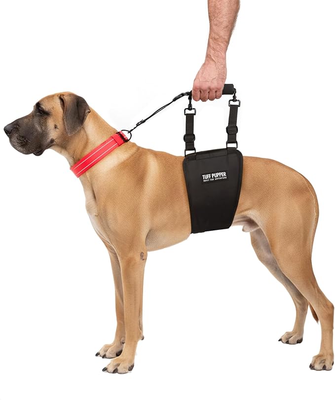 Tuff Pupper Dog Sling Hip Harness | Rear Lift Support for Senior & Injured Dogs | Adjustable Mobility Aid | Strong Padded Handle | Comfortable Design | Hip & Hind Leg Assistance (Tall, Male)
