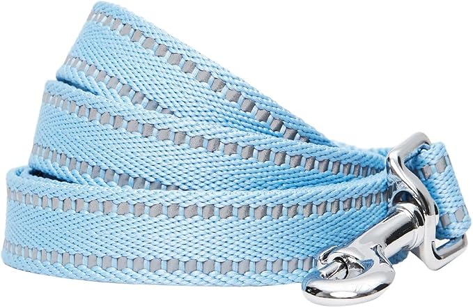 Blueberry Pet Dog Leash & Collar Set - Puppy Essentials, Gentle Leader for Dogs, Adjustable for Small Dogs, Reflective Safe Walking Gear, Fashion for Girl Dog Owners, Heavy Duty Leashes