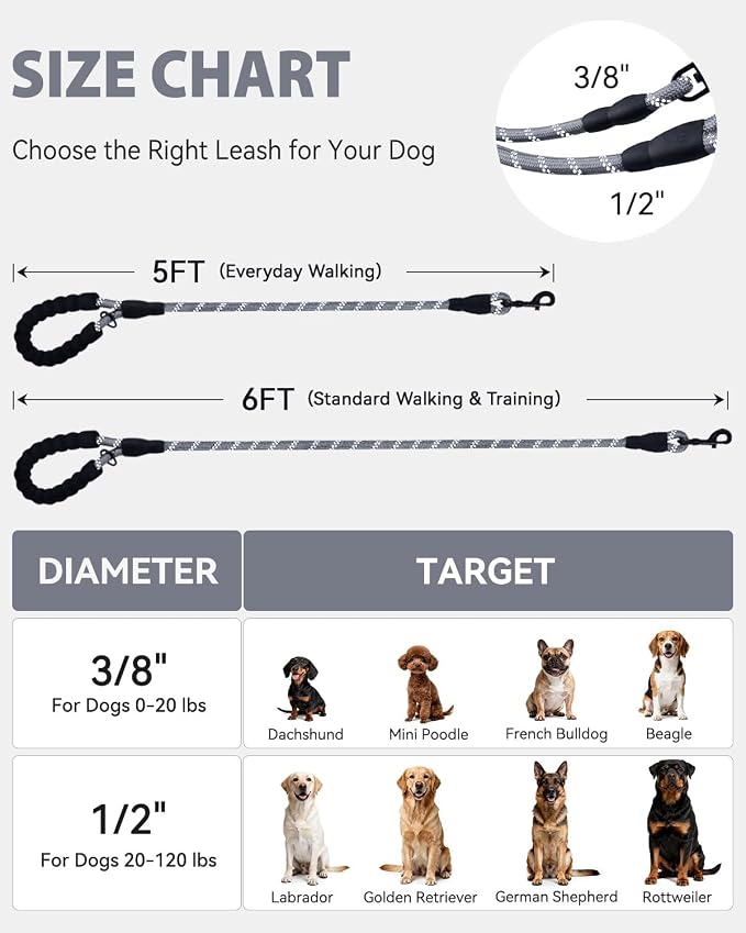 Joytale Rope Dog Leash for Medium Large Dogs, Padded Handle, 5FT, Gray | Reinforced Nylon Webbing, Comfort Grip Eases Hand Strain, Swivel Clip Prevents Tangles, Visible at Night, for Outdoor Walks