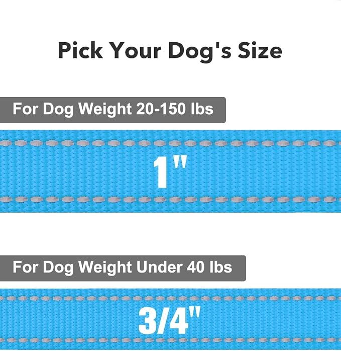 Taglory Reflective Dog Leash for Medium Large Dogs, 1in x 6ft, Sky Blue | Ideal for Night Walking, Strong for Sudden Pulls, Lightweight & Gentle on the Neck, Soft Padded Handle