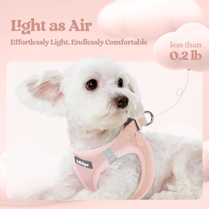 rabbitgoo Dog Harness Small Sized and Leash Set, Step-in Puppy Pet Vest | Light, Soft, Breathable Air Mesh, Easy on and Remove with Hook & Loop, Secure Reflective for Walking, Pink XXS