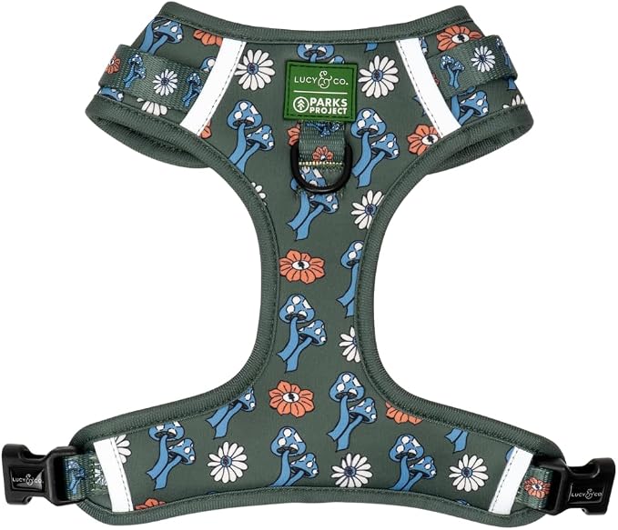 Lucy & Co. x Parks Project Power to the Parks No-Pull Dog Harness, Adjustable Front Clip Harness with Comfort Padding, Medium
