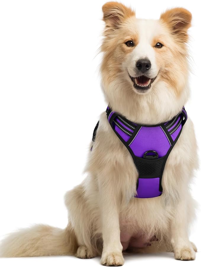 rabbitgoo Dog Harness, No Pull Medium Sized with 2 Leash Clips, Pet Vest | No Choke with Handle, Adjustable Soft Padded, Reflective, Easy Control for Walking, Purple, Medium