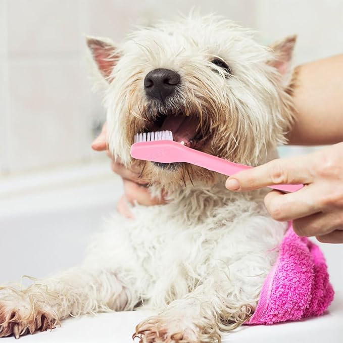 KESYOO 8pcs Dual-Head Dog Toothbrushes Soft Bristle Small and Large Sizes Pet Oral Care Handheld Puppy Teeth Cleaning Brush Set