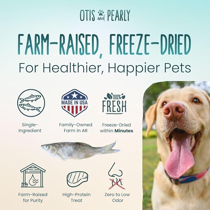 Otis & Pearly Freeze Dried Minnow Dog Treats - Single Ingredient, Made in USA - Healthy Protein Treat for Small, Medium, Large Breeds, Cats (4 oz)