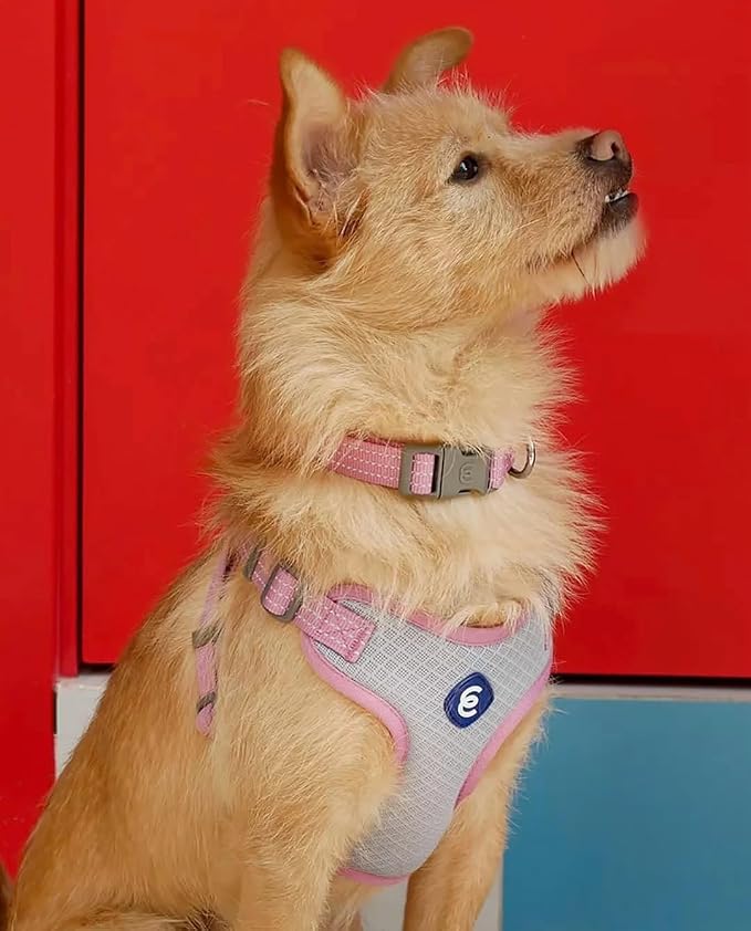 Blueberry Pet Essentials Back to Basics Reflective Dog Harness Vest, Mauve Orchid, Small, Adjustable Harnesses for Dogs