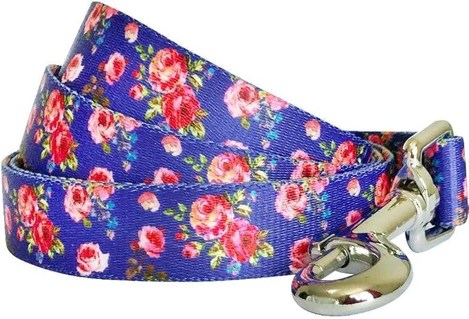 Blueberry Pet 9 Patterns Durable Spring Scent Inspired Rose Print Irish Blue Dog Leash 5 ft x 5/8", Small, Leashes for Dogs