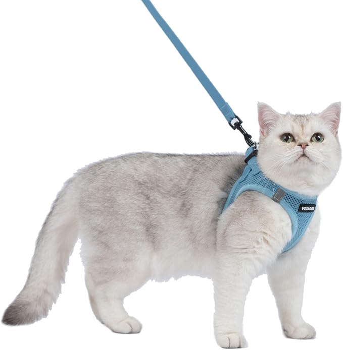 Voyager Step-in Pet Harness - All Weather Mesh, Adjustable Step in Harness for Cats and Dogs by Best Pet Supplies - Baby Blue, S (Chest 14-16")