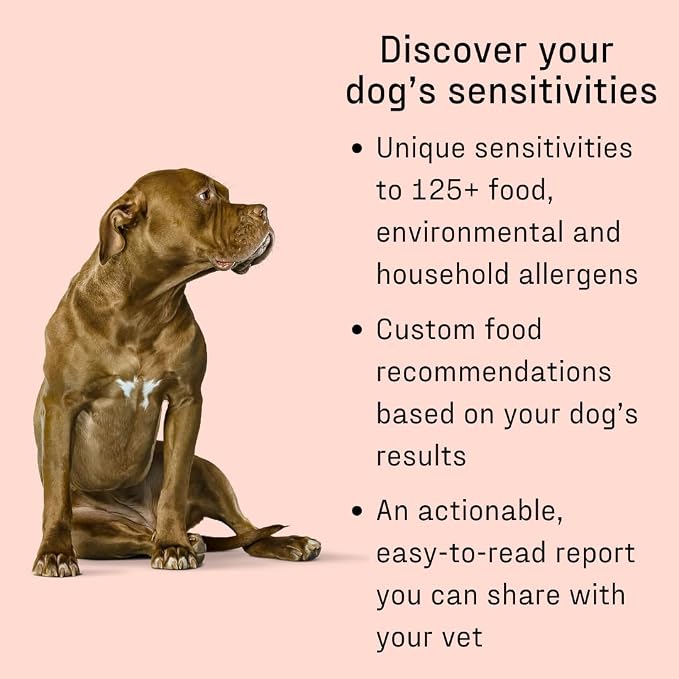 Vet-Recommended Allergy Test for Itchy Dogs - Gold