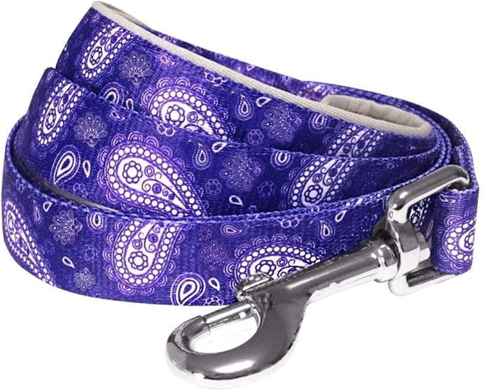 Blueberry Pet 5 Colors Paisley Flower Print Dog Leash with Soft & Comfortable Handle, 5 ft x 5/8", Violet, Small, Leashes for Dogs