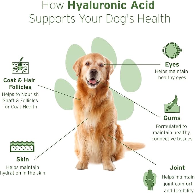 Hyalogic HyaFlex PRO - Hyaluronic Acid Joint Supplement for Dogs, 240ml