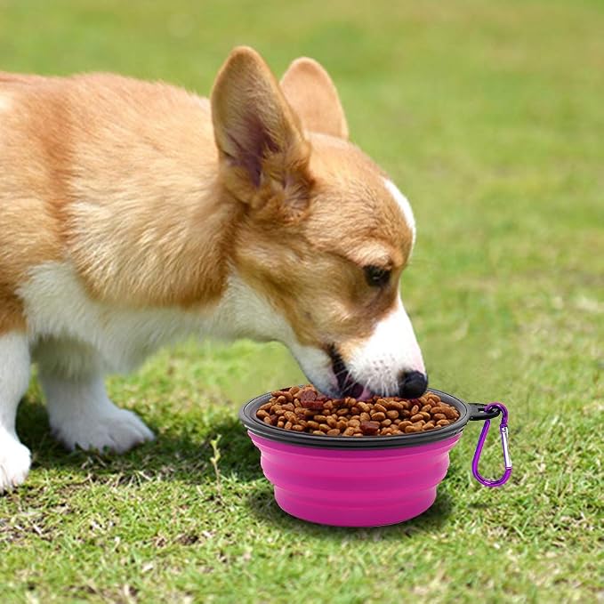 Dog Bowl Collapsible, 2 Pack, with Carabiners, Small, Green+Purple
