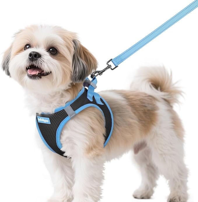rabbitgoo Dog Harness Small Sized and Leash Set, Step in Soft Vest | Breathable Mesh, Easy Wear with Hook & Loop, Light and Reflective for Walking, Multi-colored, Black & Blue, S