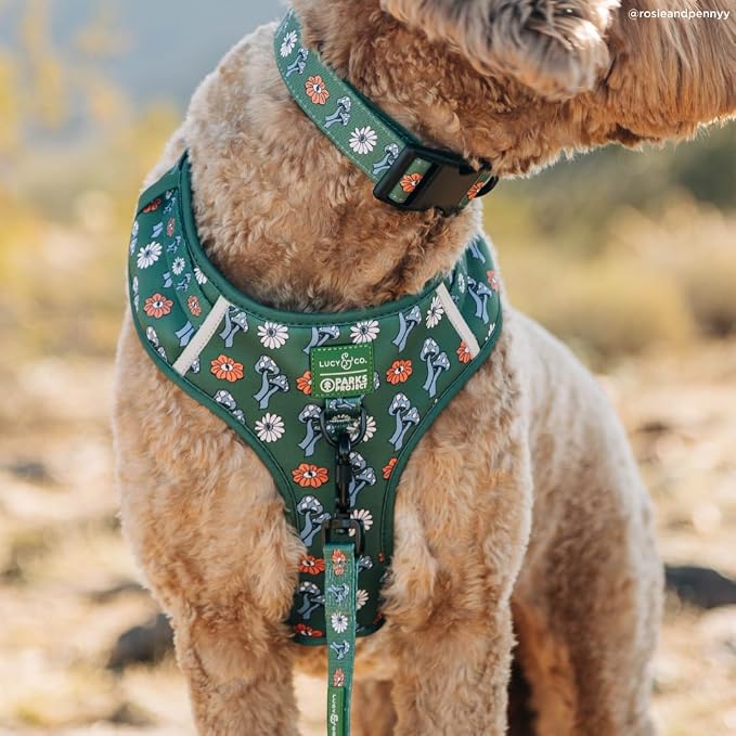 Lucy & Co. x Parks Project Power to the Parks No-Pull Dog Harness, Adjustable Front Clip Harness with Comfort Padding, X-Small