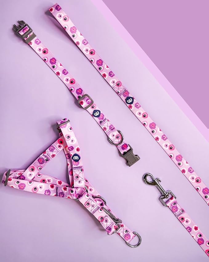 Blueberry Pet Essentials Spring Scent Inspired Garden Floral Dog Leash in Light Purple, 5 ft x 5/8", Small, Leashes for Dogs