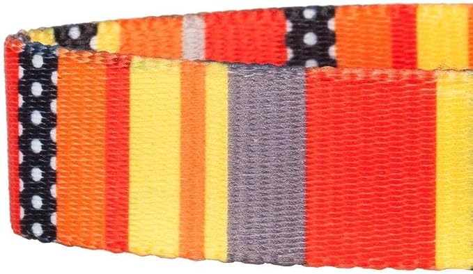 Blueberry Pet Essentials Durable Nautical Flags Inspired Designer Dog Leash 5 ft x 3/8" for Puppy, X-Small, Leashes for Dogs