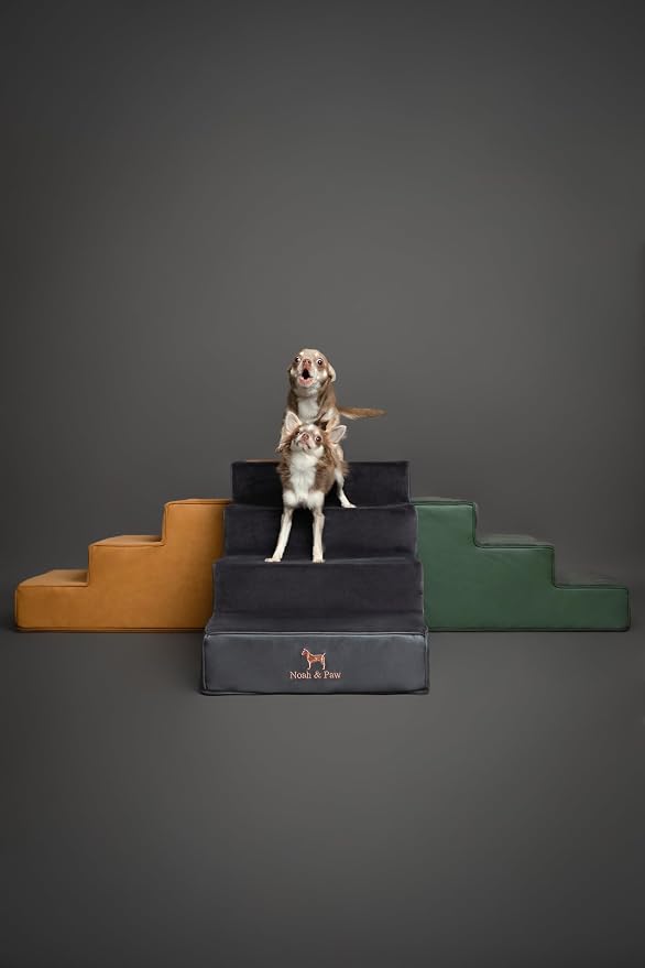 Noah & Paw Dog Stairs, Dog Ramp for Bed (20" Extra Wide) Pet Stairs for High Bed, Design to Fit Small and Large Breeds, Durable 5 Pet Steps for Couch (35 Foam Density) Leather Collection