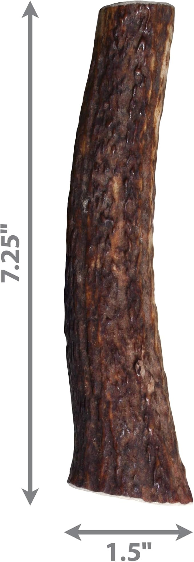 KONG Whole Antler Dog Chew – Durable Natural Elk & Deer Antlers for Strong Chewers - Naturally Shed, Long Lasting Chews (Large)