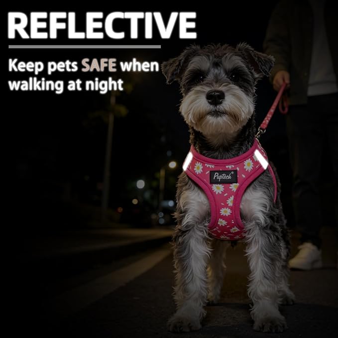 PUPTECK Dog Harness and Leash Set for Small Medium Dogs No Pull Step-in Soft Mesh Puppy Cat Vest Harnesses Reflective at Night, Fuchsia Daisy, S