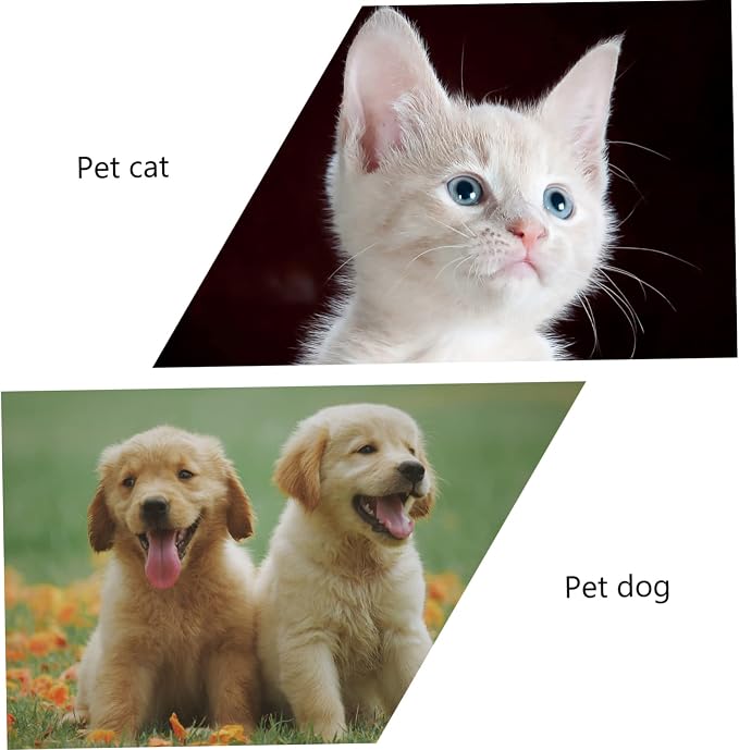 Toyvian 2pcs Long Handle Pet Toothbrush Soft Bristles for Cats Dogs Dogs Cats Oral Care