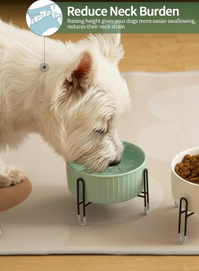 32 OZ Ceramic Dog Cat Bowls with Elevated Metal Stand, 2 Heights Elevated, 6.5 Inch Ceramic Round Pet Food and Water Feeder Bowl Dish for Cats & Dogs, White & Green
