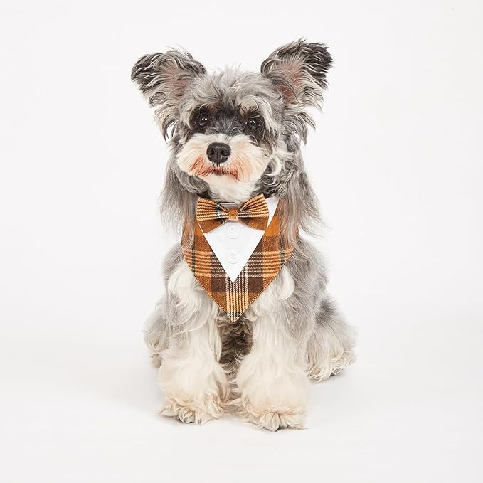 Fall Dog Tuxedo Bandana, Small, Small, Orange