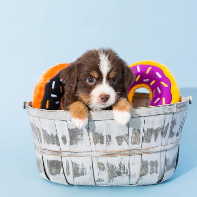 ZippyPaws Donutz for Small and Medium Dogs - Pumpkin Spice Donut | No Stuffing Dog Toys to Keep Them Busy, Squeaky Pet Toy for Boredom, Unstuffed Chew Toy, Soft Plush Puppy Products